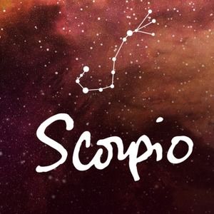 Meet your Posher, Skye